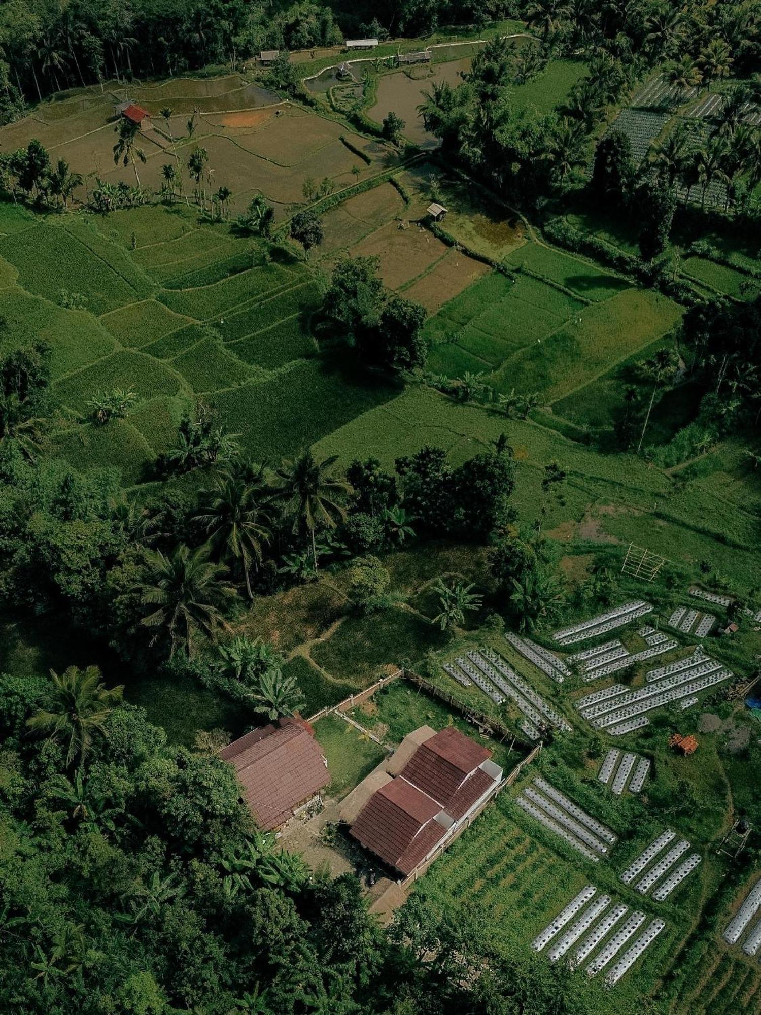 Alora House Lombok Tete Batu Hotell Tetebatu Eksteriør bilde